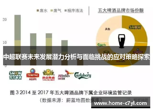 中超联赛未来发展潜力分析与面临挑战的应对策略探索