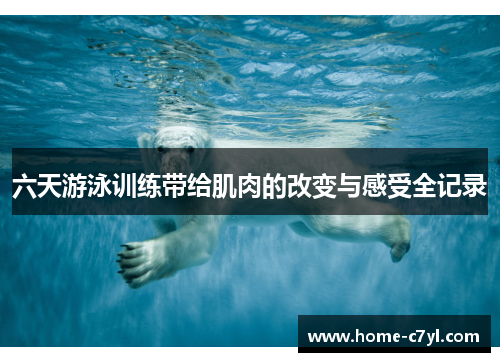 六天游泳训练带给肌肉的改变与感受全记录