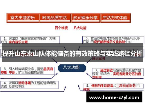 提升山东泰山队体能储备的有效策略与实践路径分析