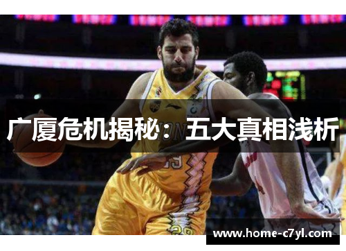 广厦危机揭秘：五大真相浅析