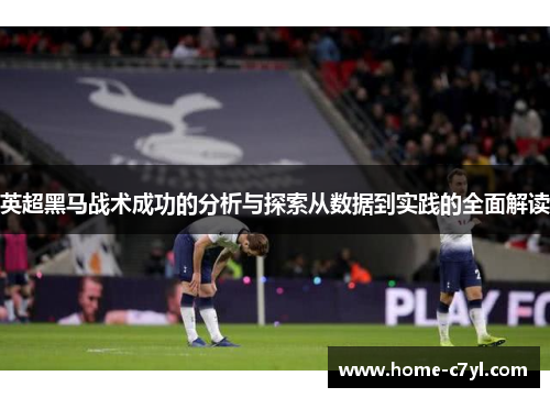 英超黑马战术成功的分析与探索从数据到实践的全面解读