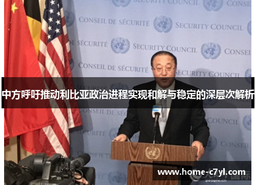 中方呼吁推动利比亚政治进程实现和解与稳定的深层次解析