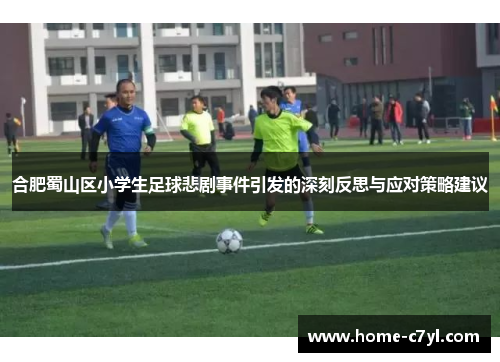合肥蜀山区小学生足球悲剧事件引发的深刻反思与应对策略建议