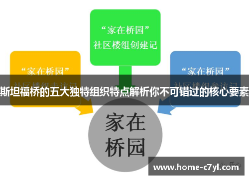斯坦福桥的五大独特组织特点解析你不可错过的核心要素